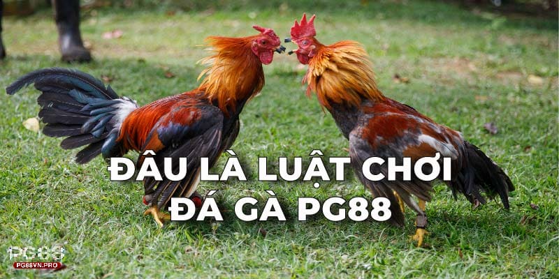 Luật chơi Đá Gà PG88