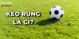 Kèo Rung Là Gì? Các Loại Kèo Rung Phổ Biến