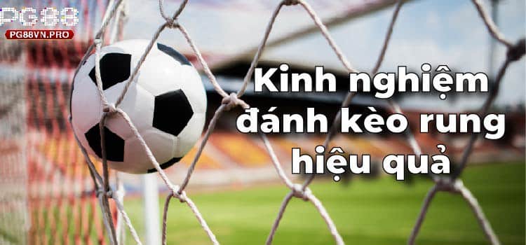 Kinh nghiệm đánh kèo rung hiệu quả